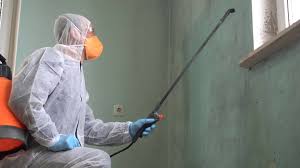 Why You Should Choose Our Mold Remediation Services in Saddle Rock, NY